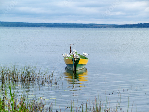 image of a boat with birds sitting on it on the calm surface of the lake in cloudy weather 