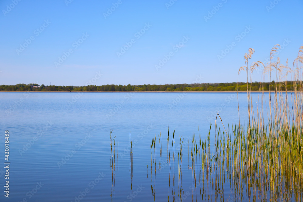 View of a large lake on a sunny day.