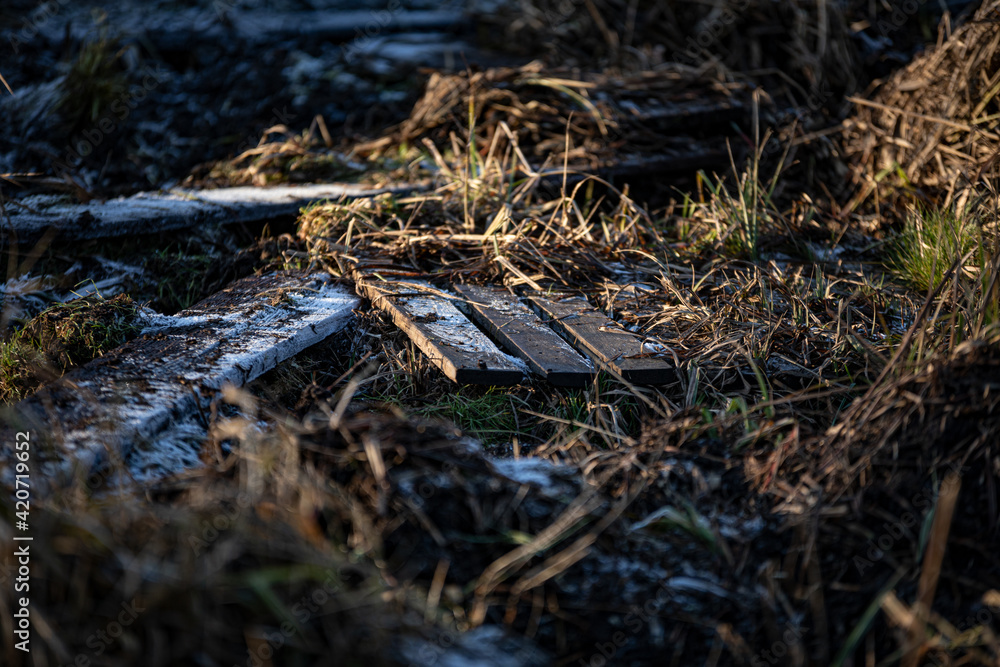 
wooden pallet in winter grass with frozen dew