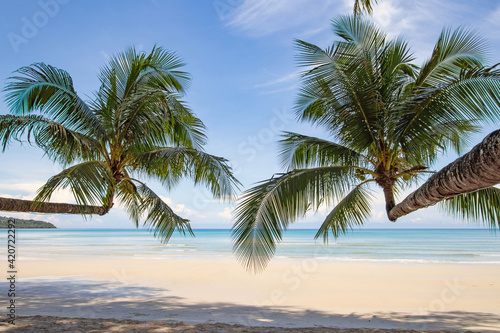 Beautiful tropical paradise white beach and coconut palm trees on island. Beautiful beach and beautiful palm tree summer holiday concept.