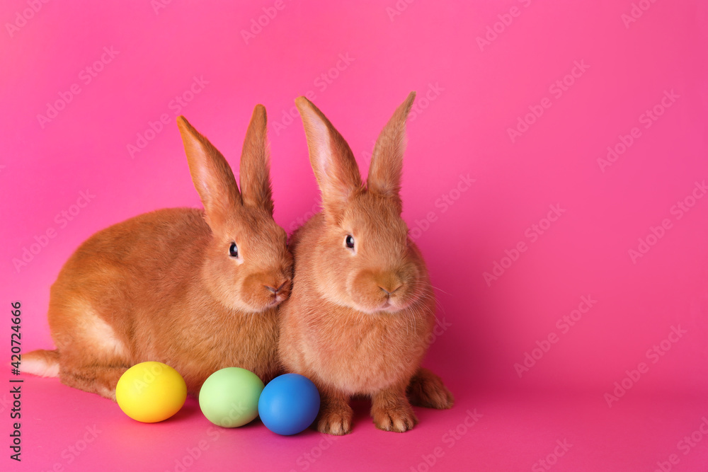 Obraz premium Cute bunnies and Easter eggs on pink background, space for text