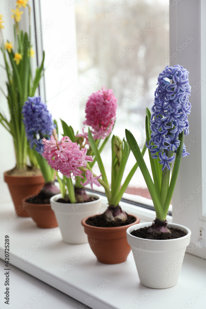 Beautiful flowers in pots on window sill indoors