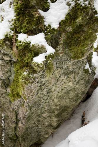 mountain rock covered with moss and snow