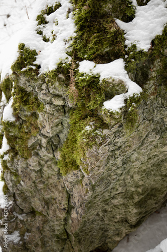 mountain rock covered with moss and snow
