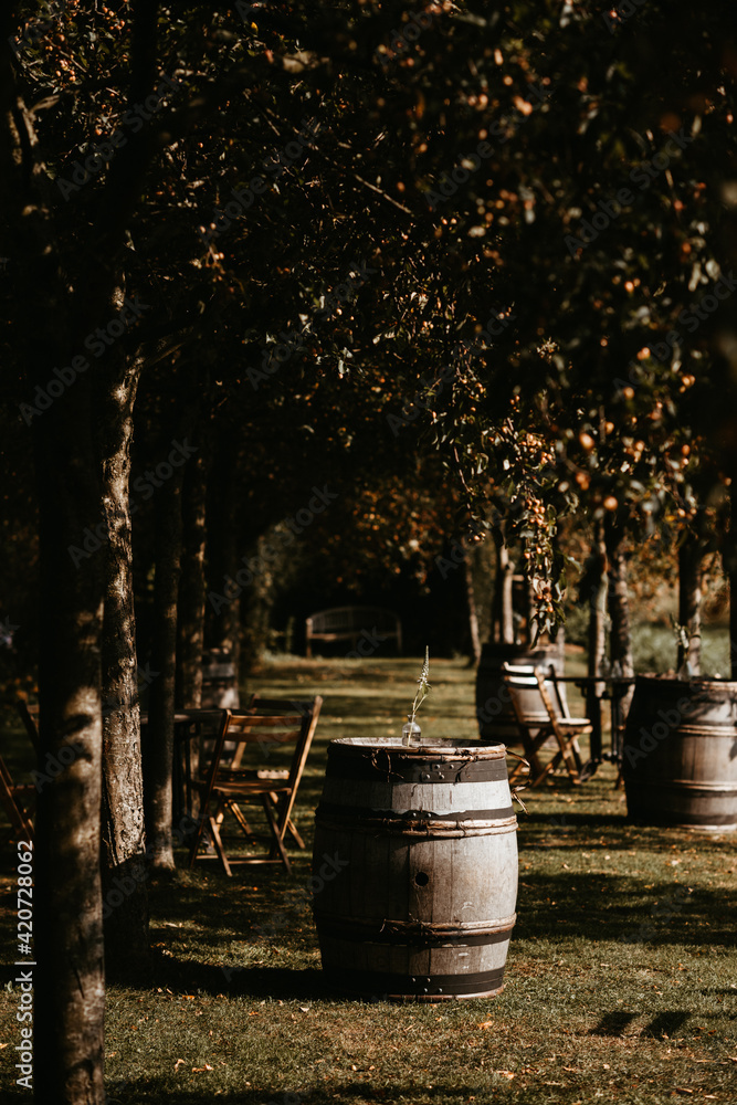 garden with wooden wine barrels and folding chairs for wedding reception garden with wooden wine barrels and folding chairs for wedding reception