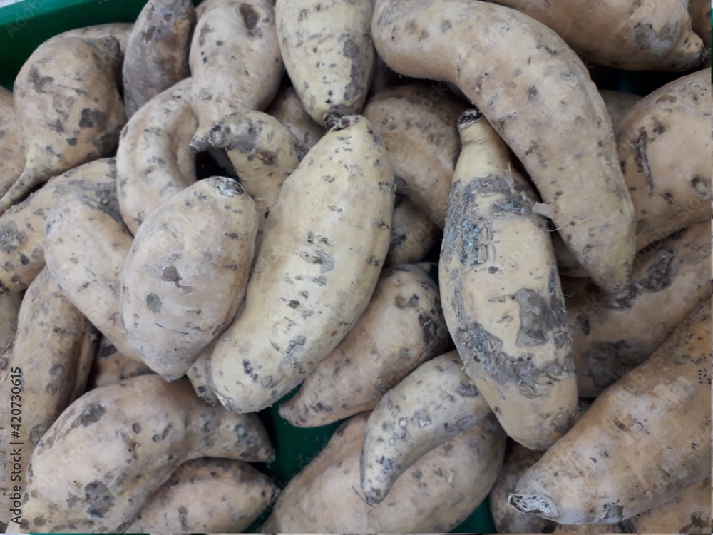 purple sweet potato sold in traditional markets purple sweet potato sold in traditional markets