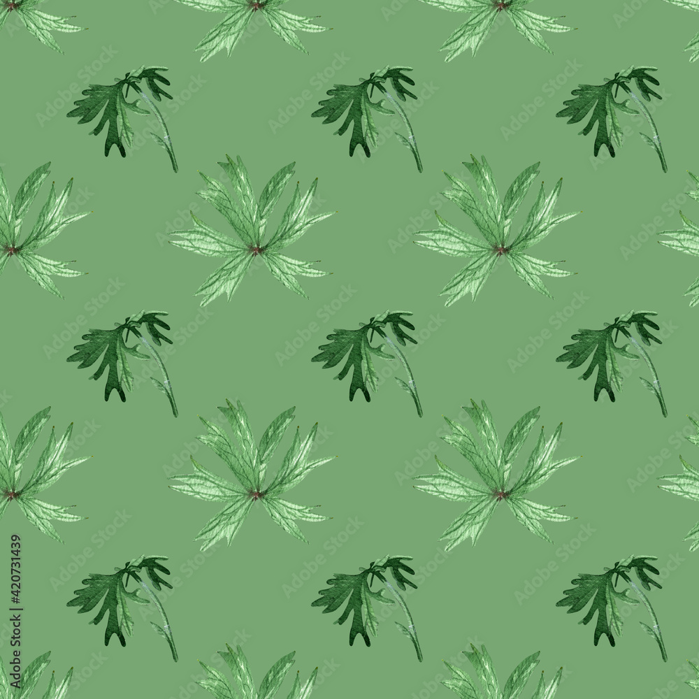 Seamless watercolor leaves pattern.Pulsatina patens leaves isolated on green background.For wrappers,wallpapers,postcards,greating cards,wedding invintation.