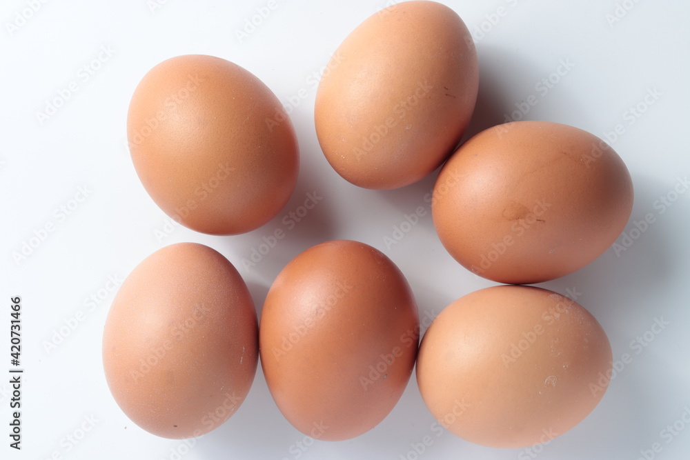 top view of chicken eggs isolated in white background top view of chicken eggs isolated in white background