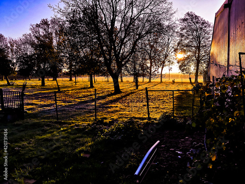 Campagne matinale photo