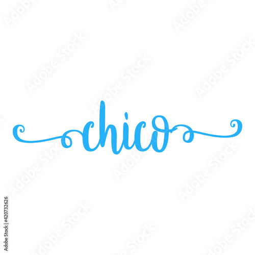 Banner con texto manuscrito chico en español escrito a mano con florituras en color azul