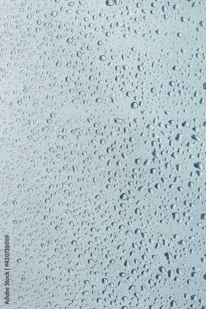 water drops on the window water drops on the window