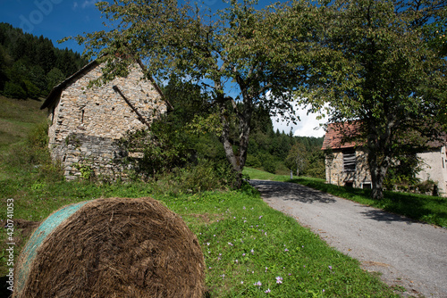 Ancient landscapes of Carnia. Stables and hay depots Orias. photo