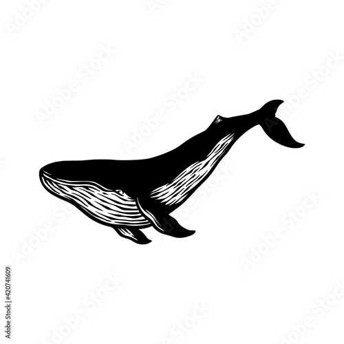 whale fish silhouette vector hand drawn