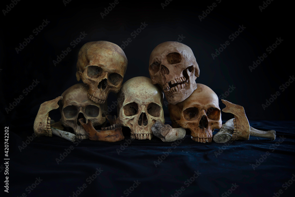 Pile of old skulls and Jaws put on the black cloth and dark background Pile of old skulls and Jaws put on the black cloth and dark background