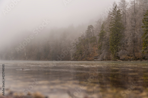Wallpaper Mural foggy and moody landscape at the Alpsee Torontodigital.ca