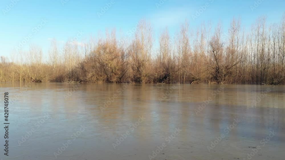 Trees in flooded wooded area in winter afternoon, drone footage Trees in flooded wooded area in winter afternoon, drone footage