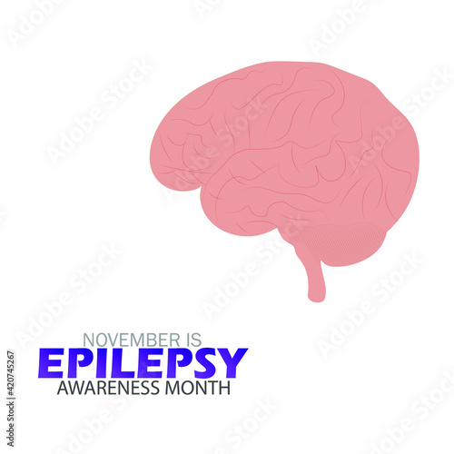 November is National Epilepsy Awareness Month