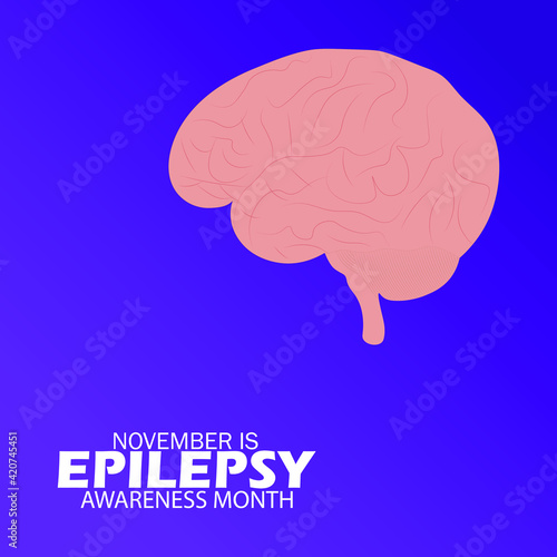 November is National Epilepsy Awareness Month