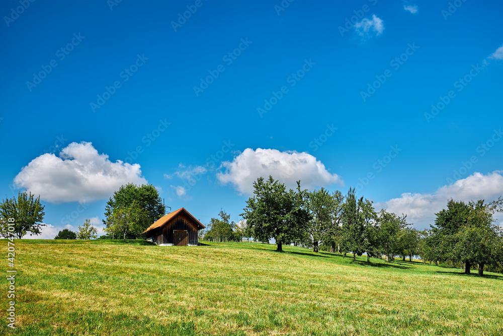 Ein Heuschober auf einer Wiese im Allgäu. Deutschland, Bayern, Allgäu, Heuschober Ein Heuschober auf einer Wiese im Allgäu. Deutschland, Bayern, Allgäu, Heuschober