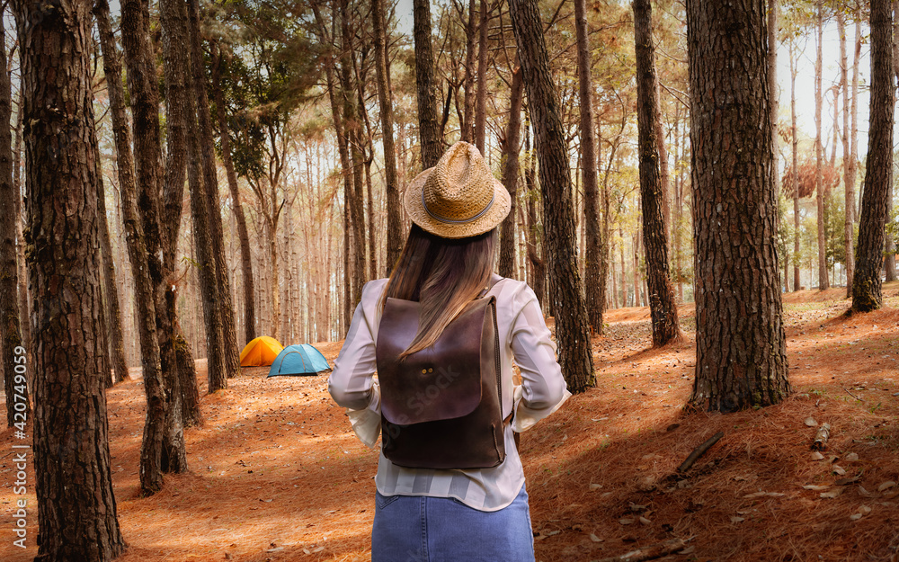 Lifestyle young traveler woman with backpack in pine forest, Attraction nature outdoor adventure travel Phitsanulok Thailand, Tourist girl on holiday vacation trip, Tourism beautiful destinations Asia