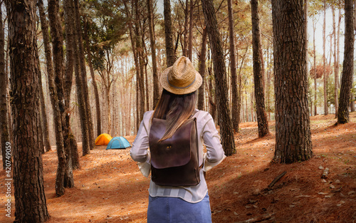 Lifestyle young traveler woman with backpack in pine forest, Attraction nature outdoor adventure travel Phitsanulok Thailand, Tourist girl on holiday vacation trip, Tourism beautiful destinations Asia © day2505
