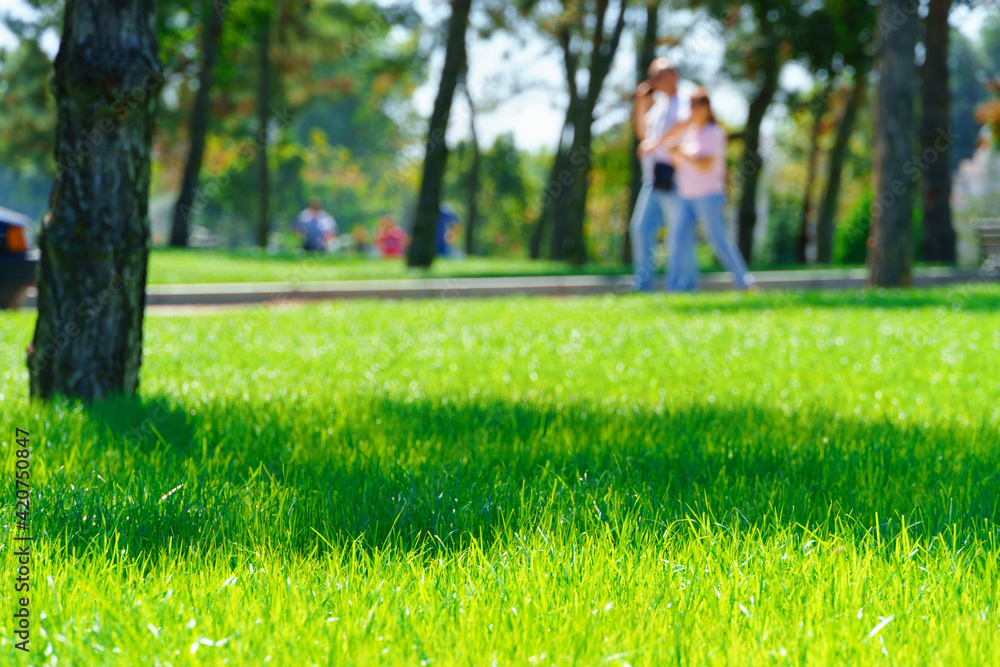 city park on a summer day, green lawns with grass and trees, paths and benches, people walking and children playing, bright sunlight and shadows