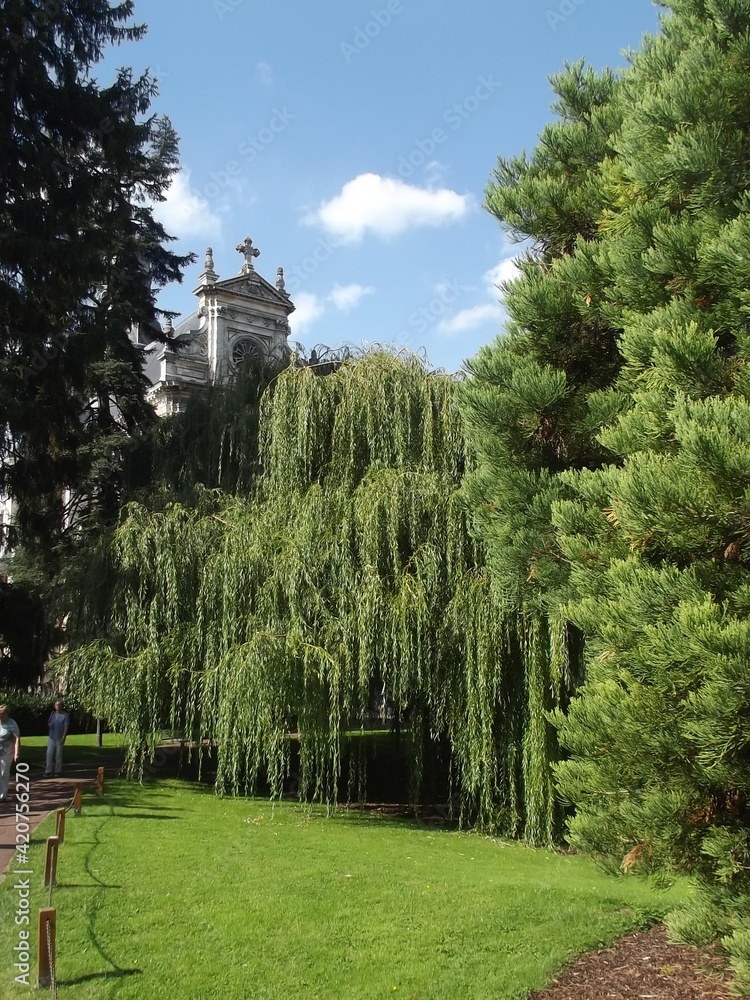 Naklejka premium Park in Blois, Frankreich