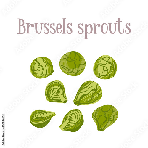 Fresh young Brussels sprouts. Healthy nutrition product.