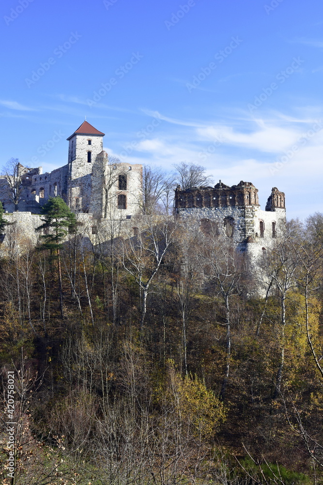 Castle, Tenczyn, Rudno, Malopolska, Trail of the Eagles' Nests,