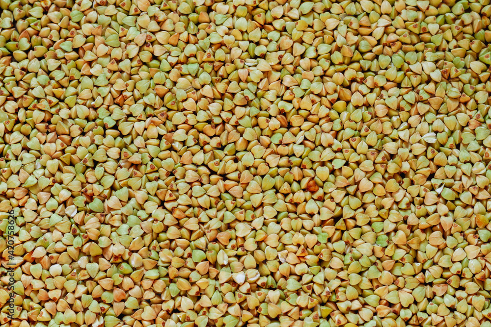Fototapeta premium Green unroasted buckwheat groats solid background. Copy space