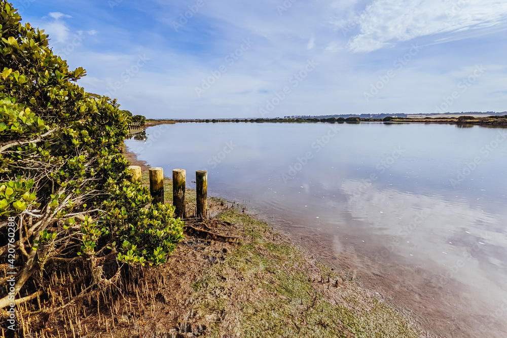 Obraz premium Lake Connewarre Wildlife Reserve in Australia