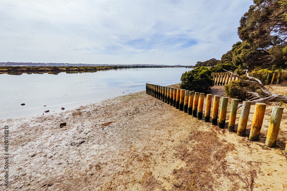 Fototapeta premium Lake Connewarre Wildlife Reserve in Australia