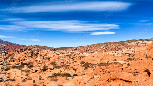 Red rocks. National park. Monument Valley environment panoramic view