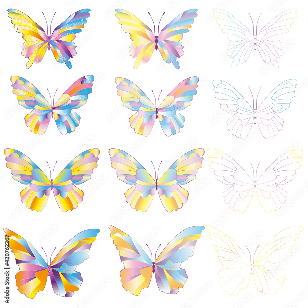 Butterflies Butterflies