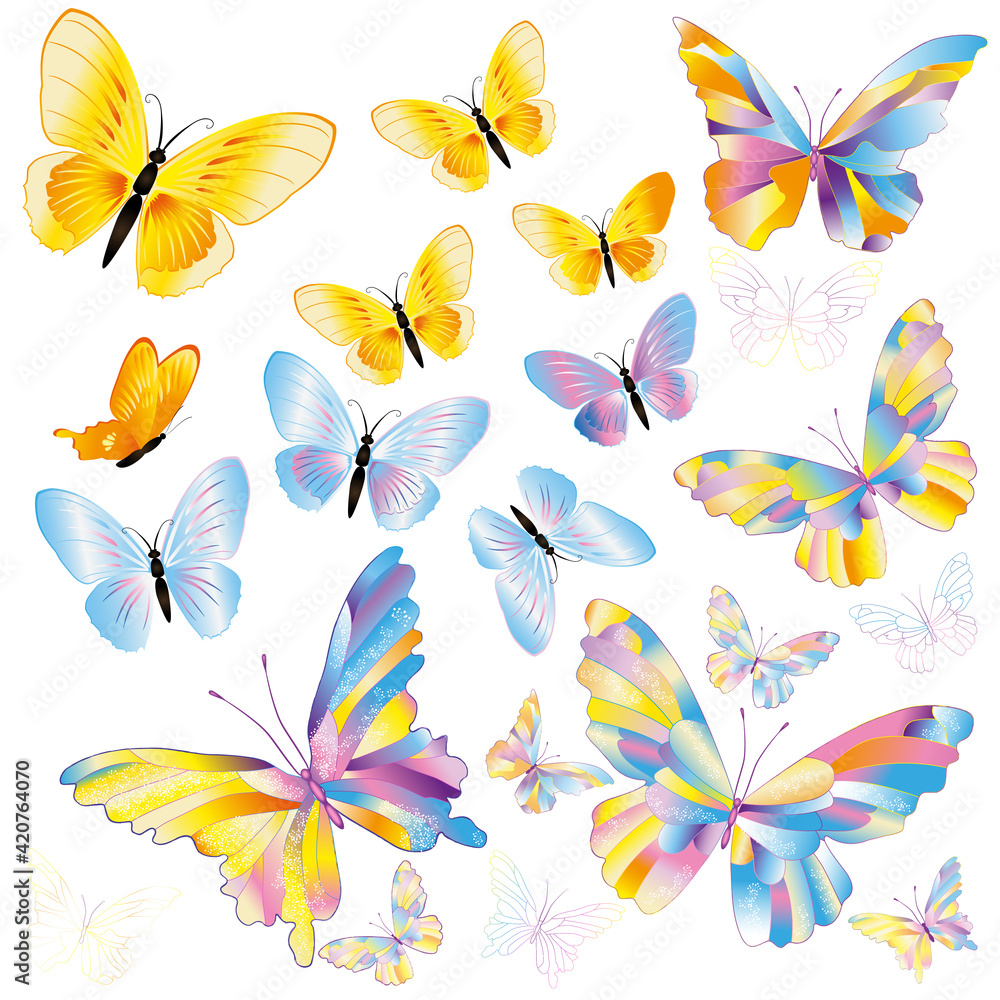 colorful butterflies colorful butterflies