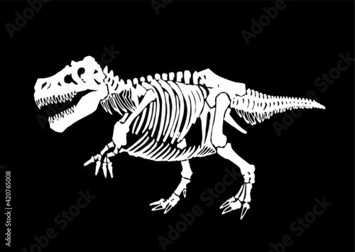 Graphical skeleton of raptor on black background,vector element,anthropology fossil