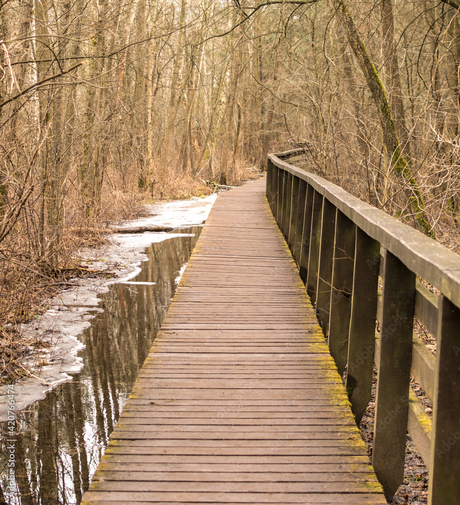 Wooden plank bridge over a swamp in the forest