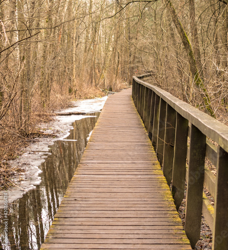 Wooden plank bridge over a swamp in the forest © ange1011