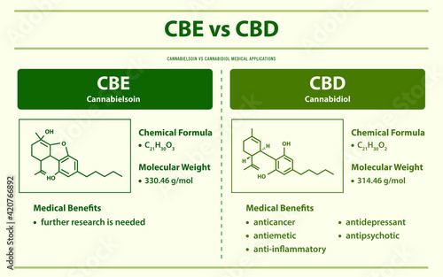 CBE vs CBD, Cannabielsoin vs Cannabidiol horizontal infographic illustration about cannabis as herbal alternative medicine and chemical therapy, healthcare and medical vector.