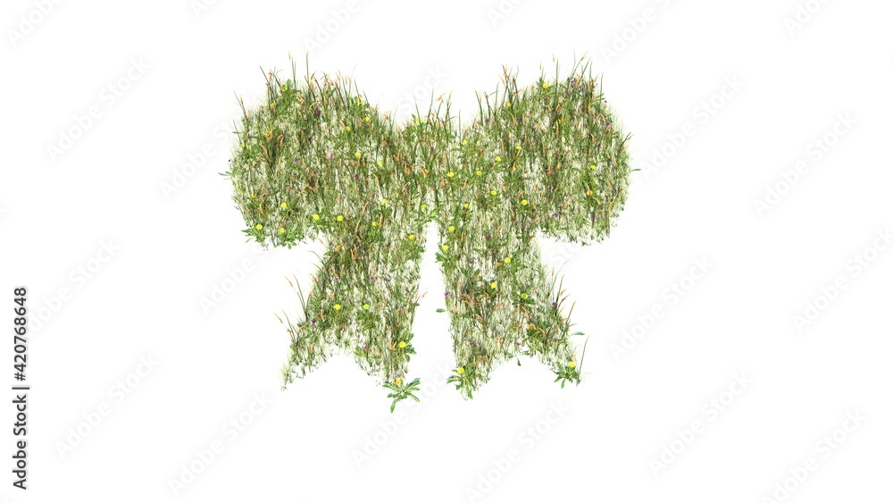 3d rendered grass field of symbol of bow isolated on white background 3d rendered grass field of symbol of bow isolated on white background