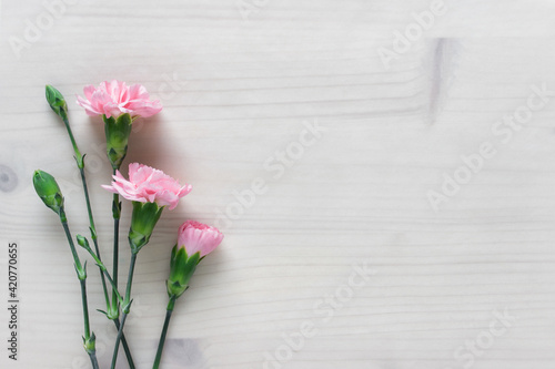 Simple background with three pink flowers and blank space on wooden background covered with transparent paper.