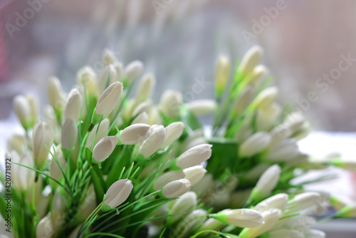 flower, nature, plant, flowers, white, green, garden, spring, macro, flora, flowering, floral, white tulips, bouquet, bouquet of tulips, holiday