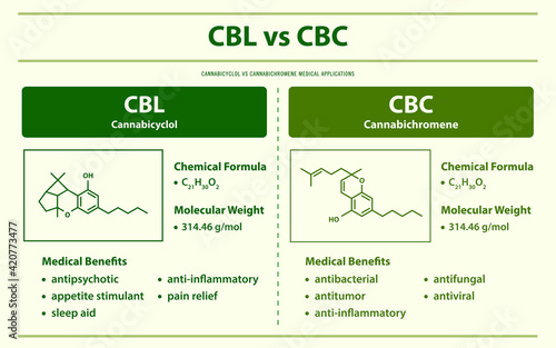 CBL vs CBN, Cannabicyclol vs Cannabichromene horizontal infographic illustration about cannabis as herbal alternative medicine and chemical therapy, healthcare and medical vector.