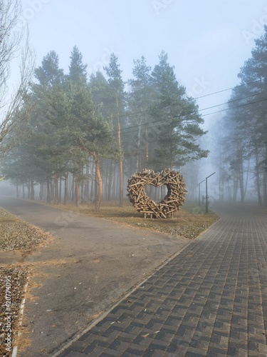 Парк в тумане