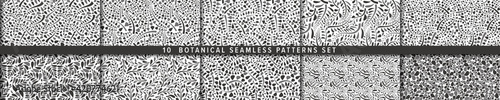 Seamless vector pattern set.  Botanical motif, organic motif background.  有機的背景のベクターパターンセット