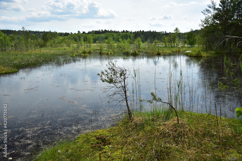 Artificial Macha Lake near Doksy in the Liberec Region, Czech Republic, in spring. Artificial Macha Lake near Doksy in the Liberec Region, Czech Republic, in spring.