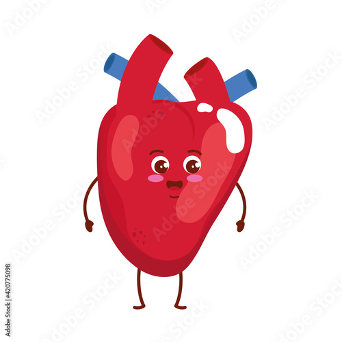 cute organ heart