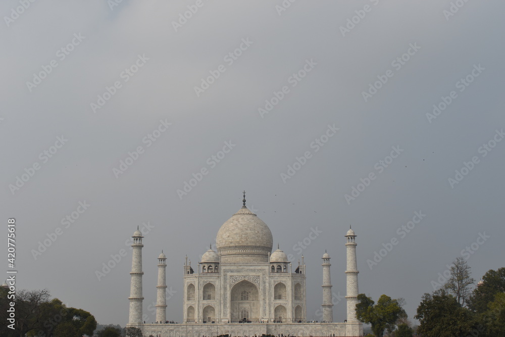 Obraz premium Beautiful a Structures Monuments Gardens with Flowers in Agra and Taj Mahal