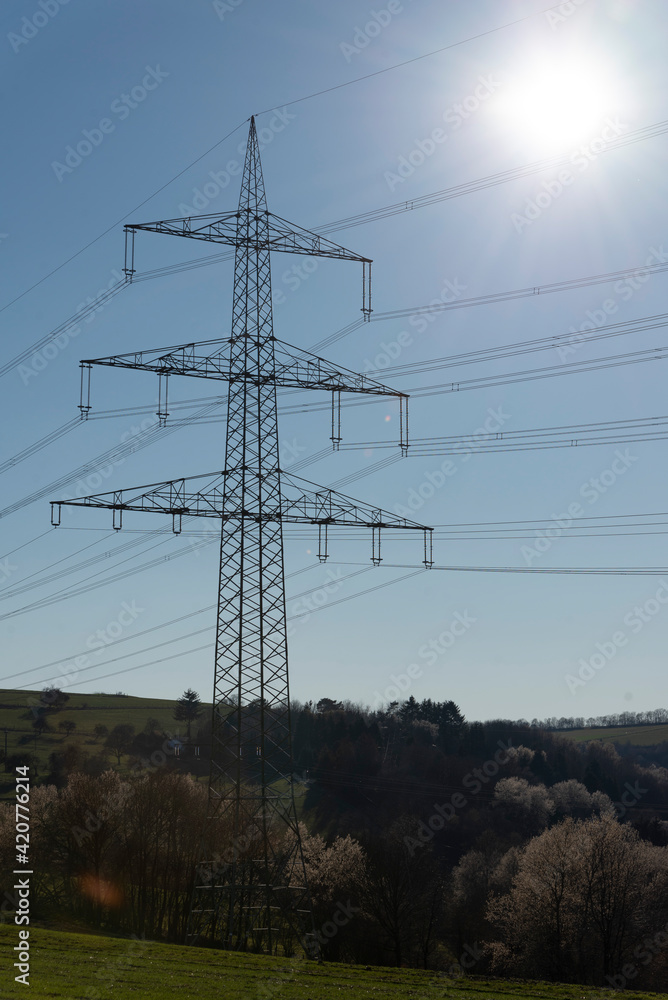 Fototapeta premium Strommasten vor Feld und Wald 