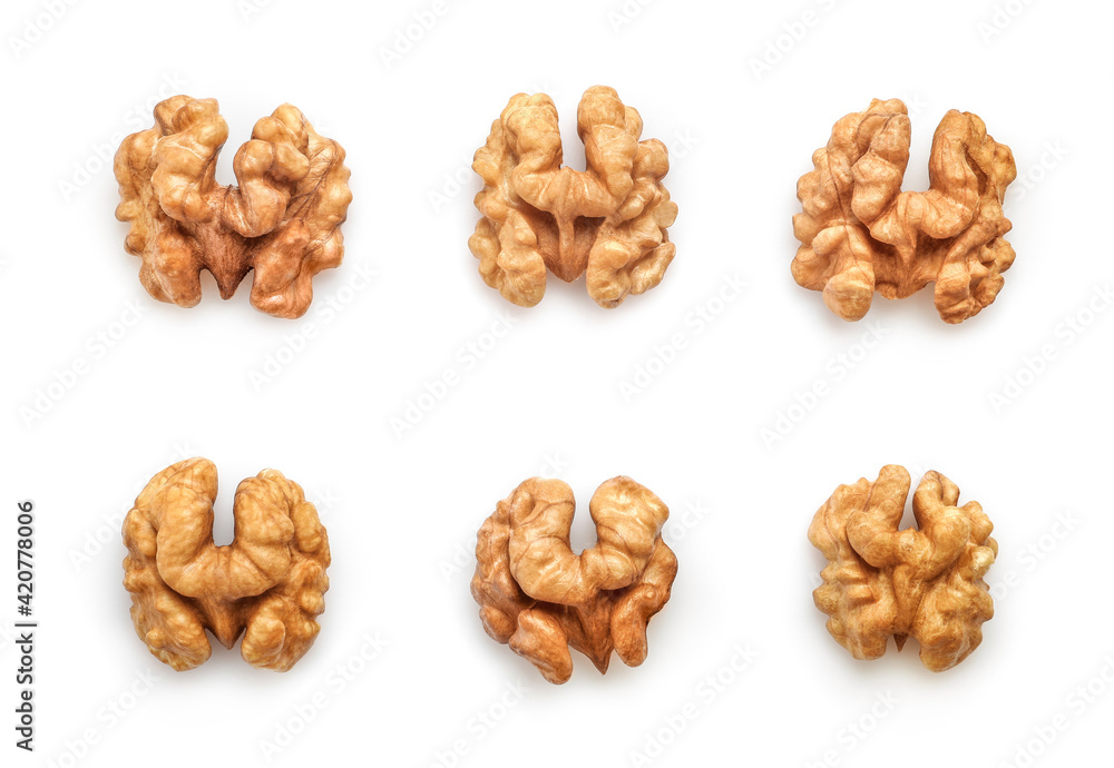 Set of walnut kernels isolated on white Set of walnut kernels isolated on white
